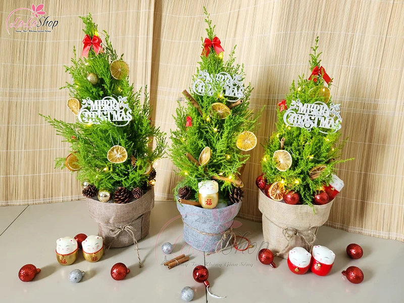 Gợi ý 10 cách trang trí cây tùng thơm noel đơn giản siêu đẹp 2026