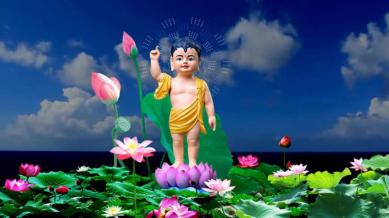 anh-dan-sanh-noi-bat-voi-tu-the-1-tay-chi-len-1-tay-chi-xuong-cua-phat-thich-ca-khi-moi-ra-doi-6fed2f94f2cdf633f95ffffcff774b43