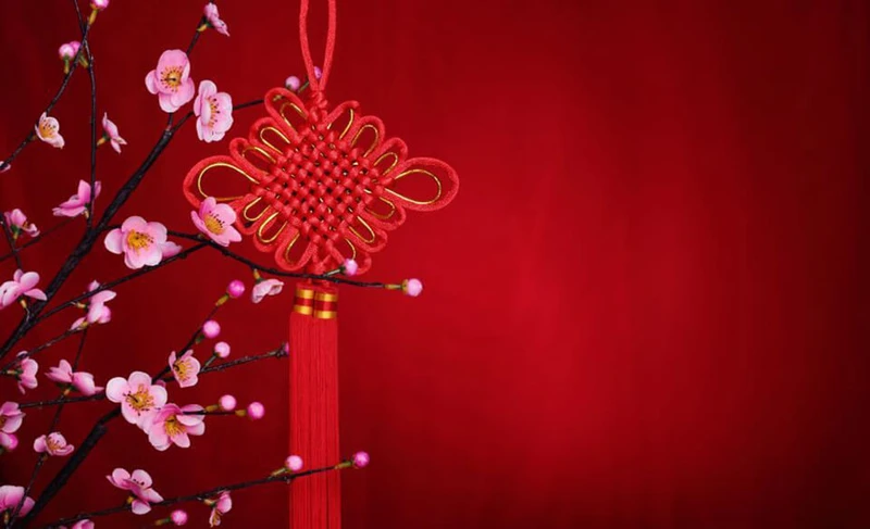 background-hoa-dao-2-c5cbb047712351ce738cd2fbd2a24010