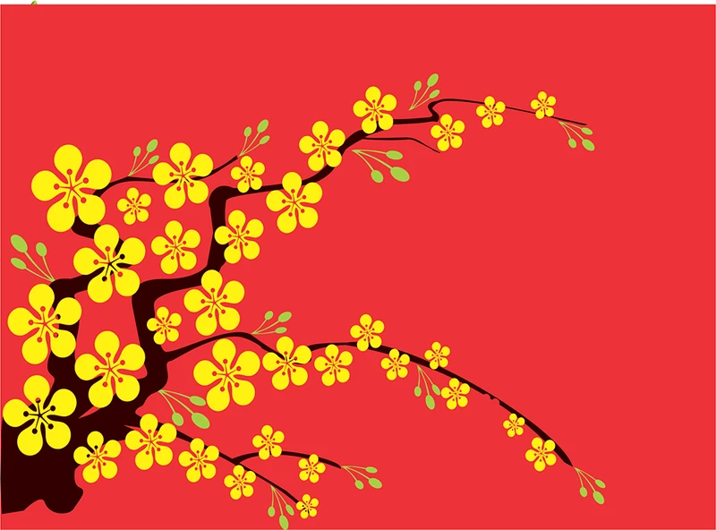 background-hoa-mai-1-6f48e2387197df7472231bf0c7fdc432