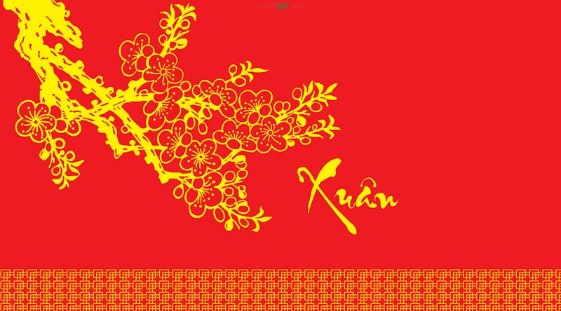 background-hoa-mai-3-62874b1960361e645497c862ad2eb08f