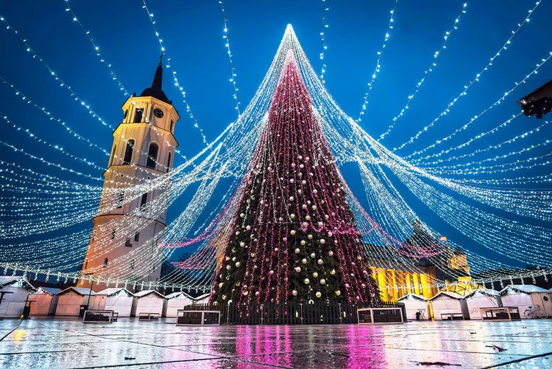 Cây thông Noel vẫn là hình ảnh lung linh và đặc sắc nhất vào dịp Giáng sinh