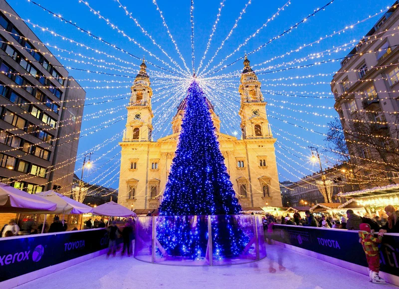 Cây thông Noel vẫn là hình ảnh lung linh và đặc sắc nhất vào dịp Giáng sinh