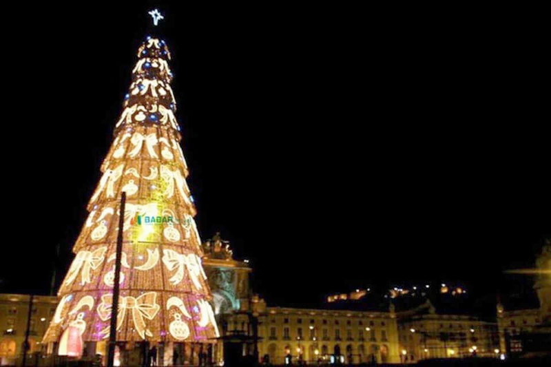 Cây thông Noel vẫn là hình ảnh lung linh và đặc sắc nhất vào dịp Giáng sinh