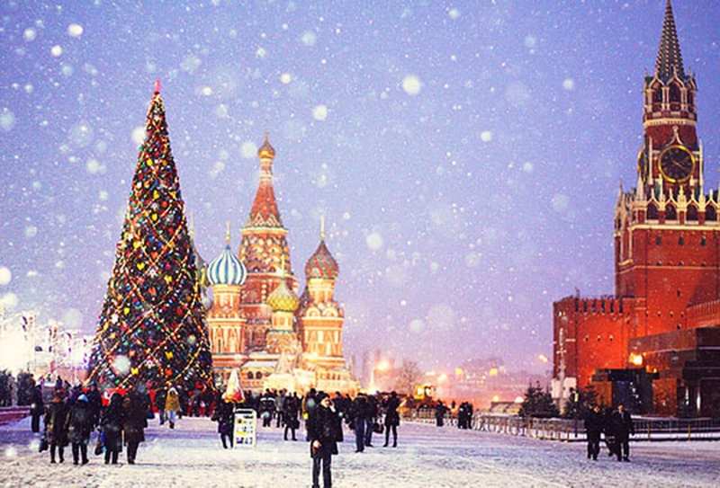 Cây thông Noel vẫn là hình ảnh lung linh và đặc sắc nhất vào dịp Giáng sinh