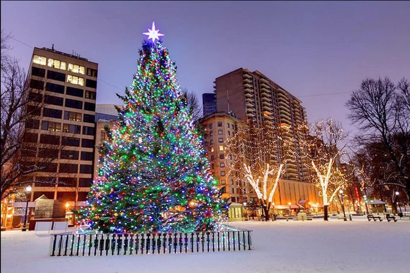 Cây thông Noel vẫn là hình ảnh lung linh và đặc sắc nhất vào dịp Giáng sinh