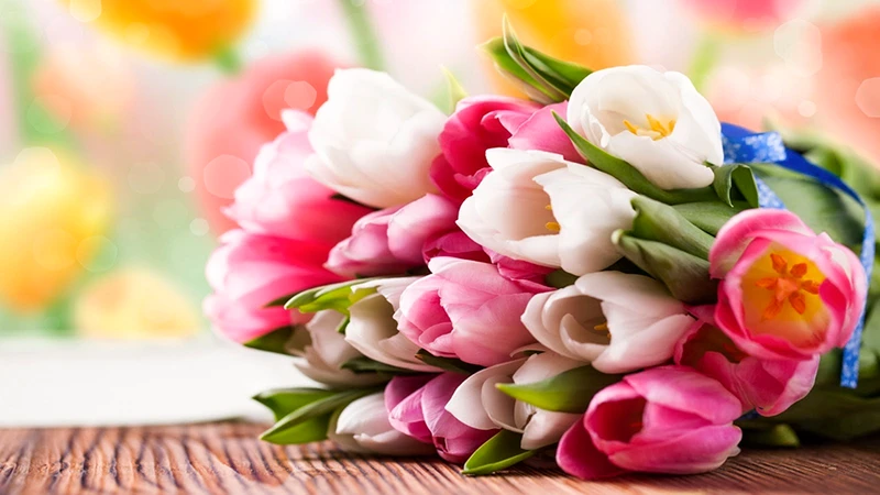 Ngày 8/3 là ngày gì? Ngày 8/3 có ý nghĩa gì và bắt đầu từ nước nào?