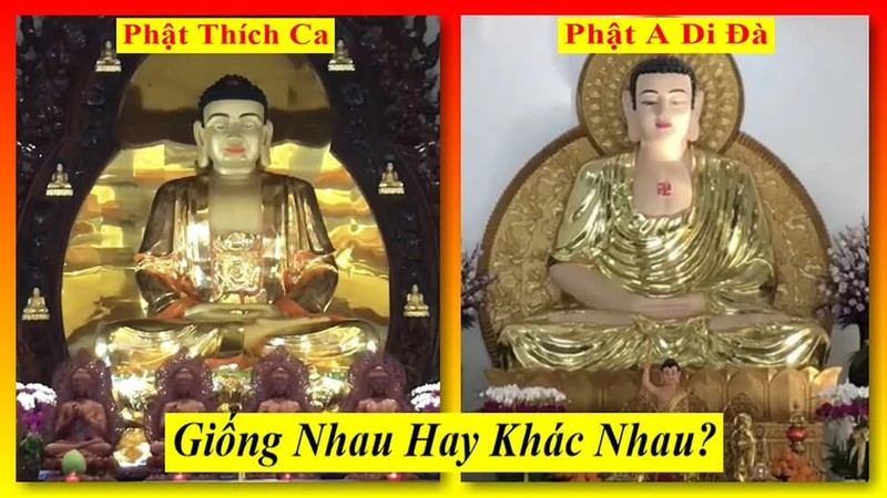 cau-hoi-thuong-gap-o-2-vi-phat-a-di-da-va-phat-thich-ca-02c65d11b3cc0e2ef62bb1d9f87db33f