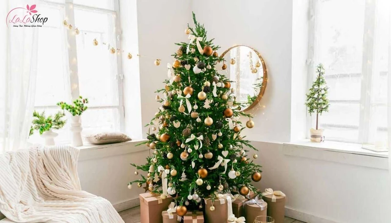 Cây thông Noel là biểu tượng của sự sống bất diệt và hy vọng