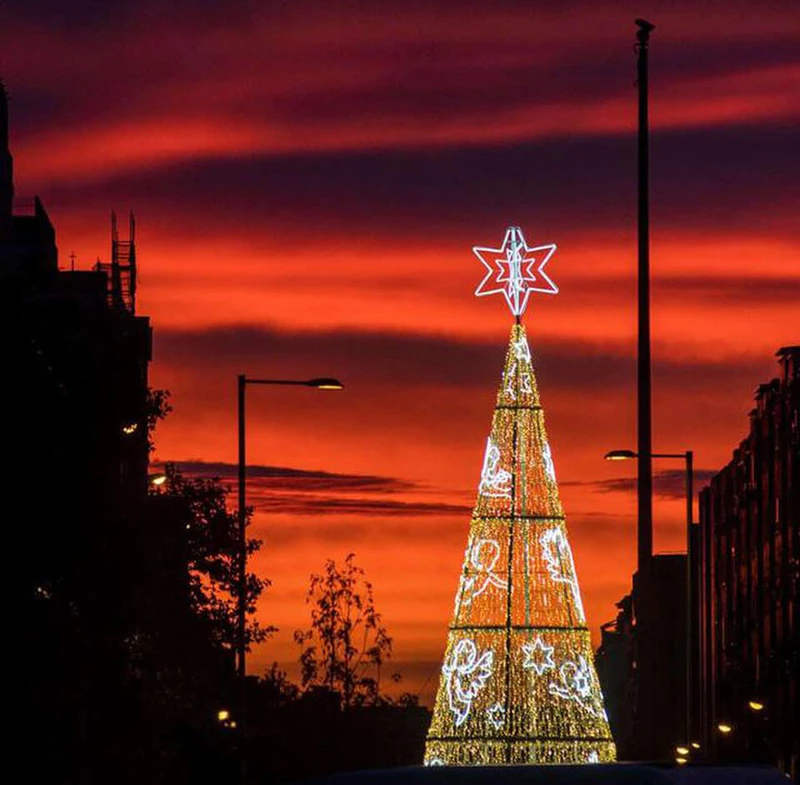 Tổng hợp những hình ảnh cây thông noel chất lượng cao đẹp nhất 2025