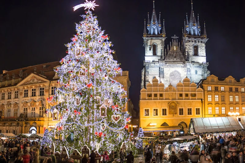 Tổng hợp những hình ảnh cây thông noel chất lượng cao đẹp nhất 2025