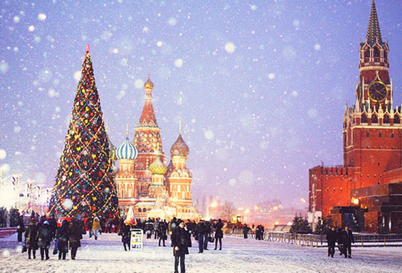 Tổng hợp những hình ảnh cây thông noel chất lượng cao đẹp nhất 2025