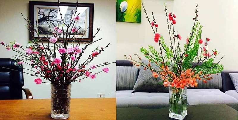 Cắm hoa đừng dùng nước lã, thêm thứ này vào hoa nở đều, rực rỡ chơi hết cả Tết