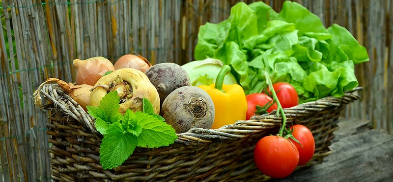 Cửa hàng Vườn Của Mẹ - Vườn không hóa chất