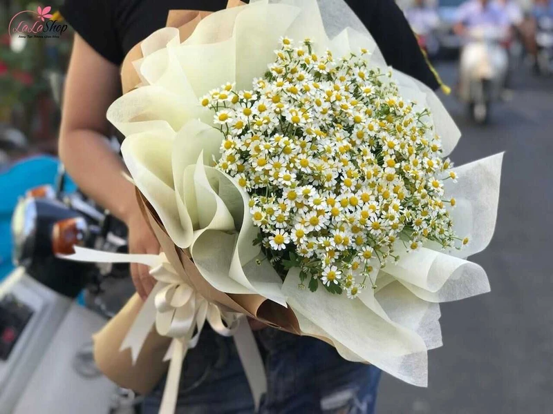 Cúc tana biểu trưng cho sự mạnh mẽ