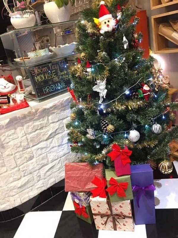 Đặt hộp quà dưới cây thông