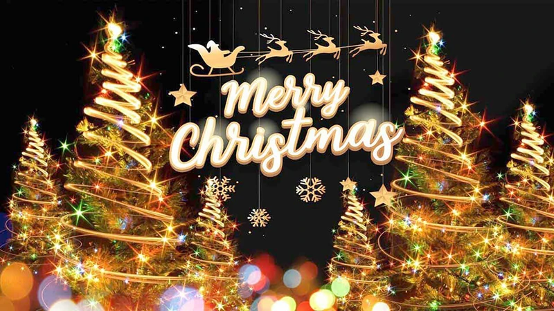 Đơn giản nhưng đem đến một hình ảnh rất đặc trưng nên bộ ảnh chúc mừng Noel và năm mới được đánh giá rất cao về tính thẫm mỹ