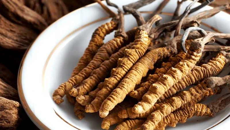 Loại thảo dược này sinh trưởng trong môi trường khắc nghiệt, chất lượng thuộc hàng cực phẩm lại cực kỳ quý hiếm nên có mức giá khá cao