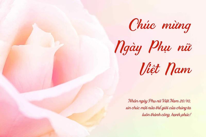 Bộ hình ảnh chúc mừng ngày 20/10 đẹp, độc đáo và ý nghĩa nhất 2025