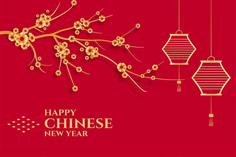 Hình ảnh Background hoa mai Tết đẹp