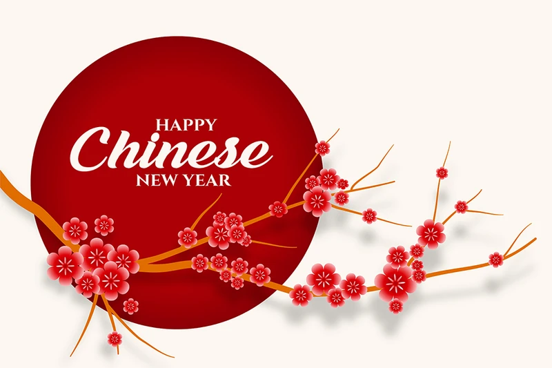 Hình ảnh Background hoa mai Tết đẹp