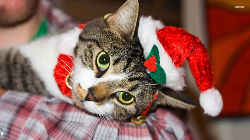 Hình ảnh cô bé bán diêm đẹp nhưng buồn cũng là một gợi ý tuyệt vời khi trang trí Noel