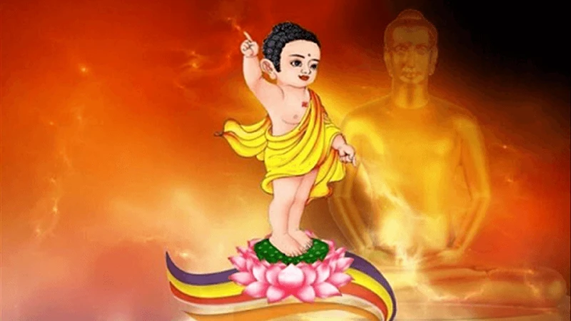 hinh-anh-dan-sanh-dep-nhat-dbe068147dd42aaeb4e1f202ca22f342