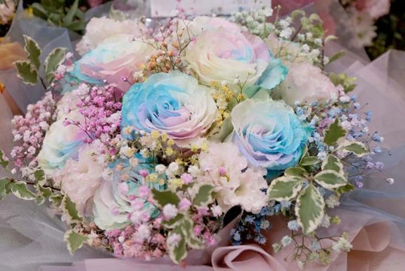 Bộ hình ảnh chúc mừng ngày 20/10 đẹp, độc đáo và ý nghĩa nhất 2025