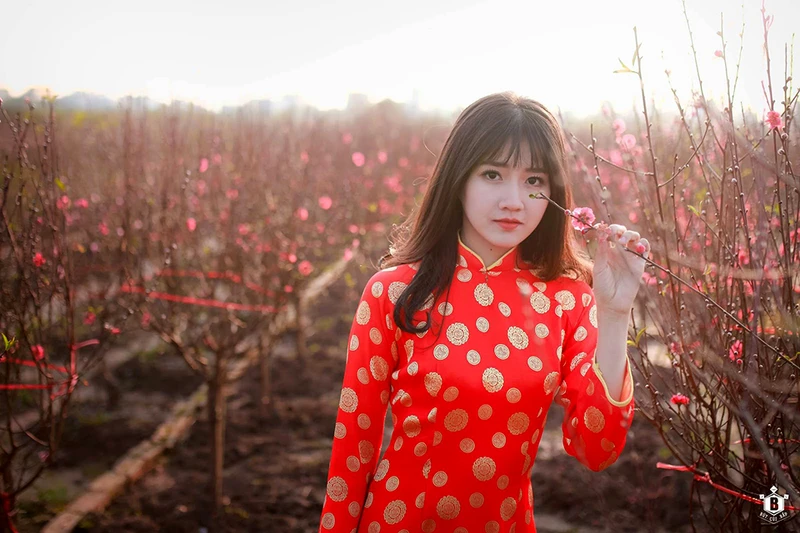 Hình ảnh những cô gái đẹp ngày tết chất lượng cao