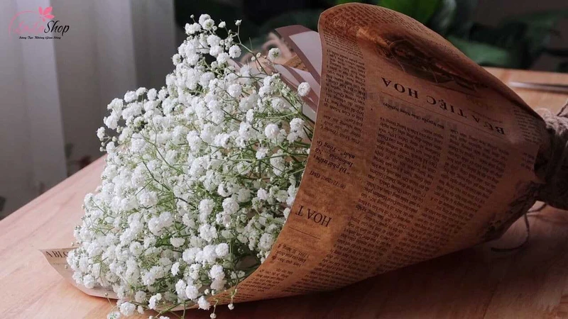 Hoa baby khi làm một bó hoa riêng cũng rất đẹp