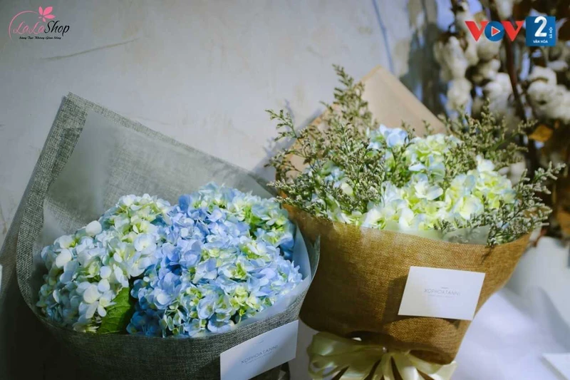 Hoa cẩm tú cầu tượng trưng cho sự trân trọng và lòng biết ơn