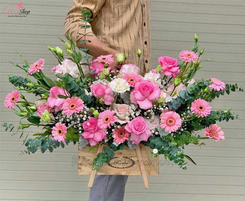 Hoa cát tường có ý nghĩa là hoa may mắn