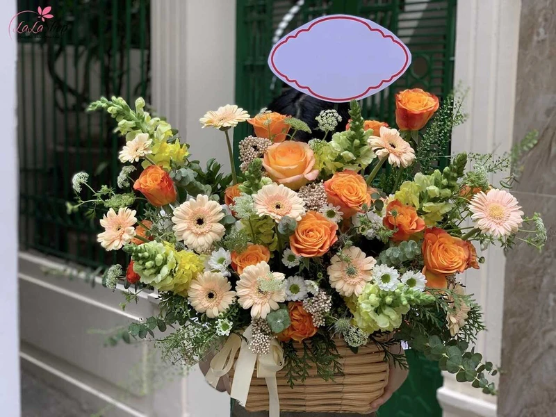 Hoa đồng tiền biểu trưng cho sự may mắn, thành công và thịnh vượng