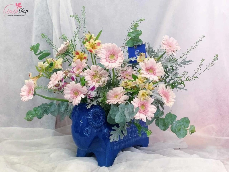 Hoa đồng tiền mang đến sự tươi vui