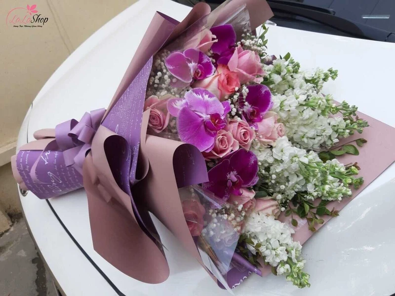 Hoa lan mang theo ý chí mạnh mẽ và sự vươn lên không ngừng