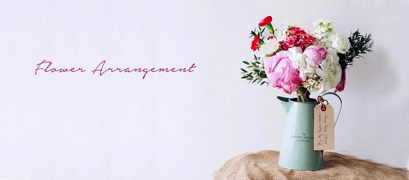 Màu sắc đẹp mắt, kiểu dáng hiện đại