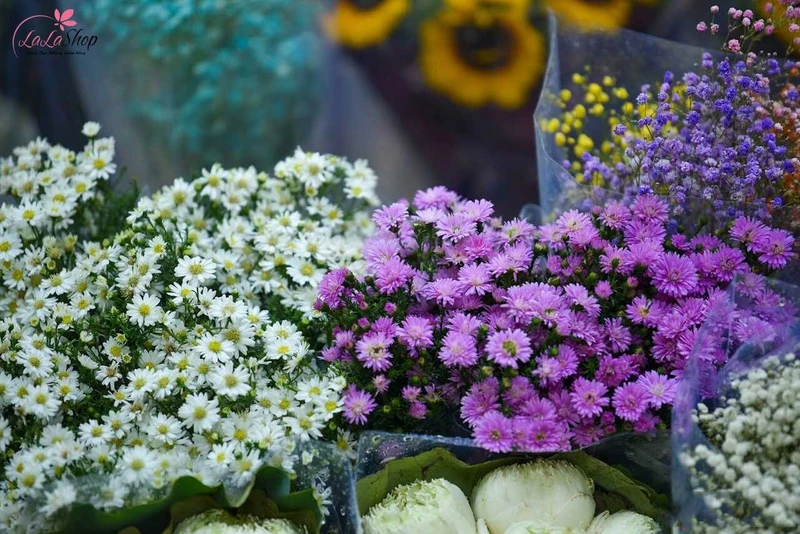 Hoa thạch thảo cũng là loài hoa quen thuộc trong các ngày khai trương