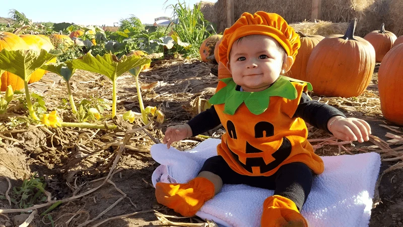 Hóa trang Halloween cho bé là bí ngô sẽ rất đơn giản nhưng độc đáo