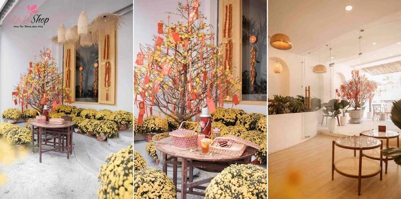 Không gian quán cafe sẽ sinh động, đẹp mắt hơn nếu biết cách bố trí cây cảnh và hoa