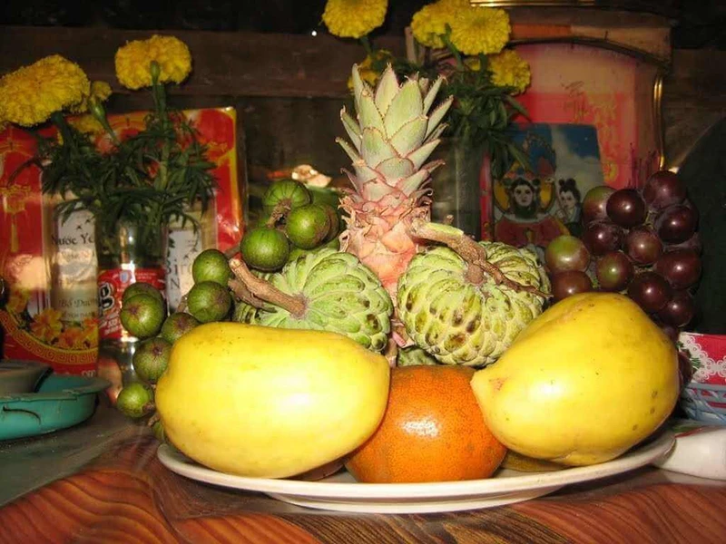 mam-ngu-qua-4-74685bc171c8f215cfdff1a6acd4d082