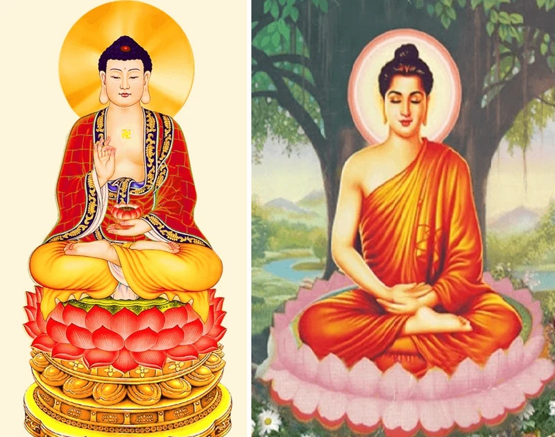 mau-sac-chat-luong-anh-dep-mang-den-cho-nguoi-xem-hinh-anh-cua-2-vi-phat-ma-nguoi-doi-rat-ton-tho-0ff98ca4589037a418e44c7ae7e4623d