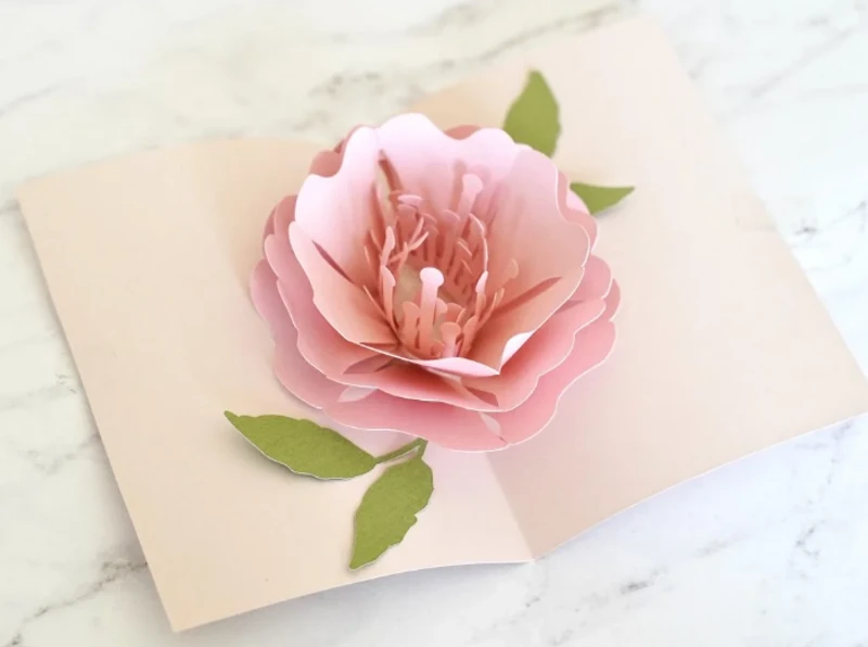 Mẫu thiệp hoa chúc mừng ngày 20/10