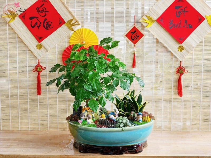 Một số loại cây cảnh được xem là biểu tượng của sự thịnh vượng và thành công