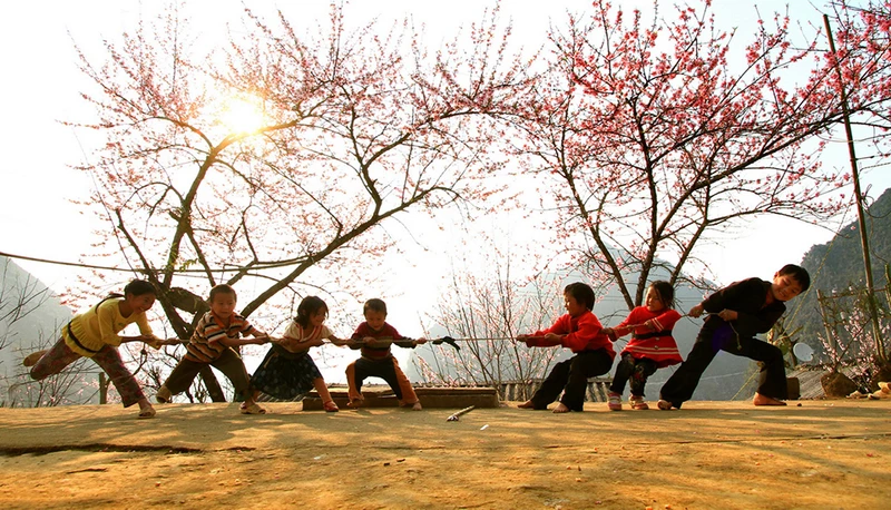 ngay-tet-va-mua-xuan-3-83c9e6c3c1270ba4746e4a093e281a87