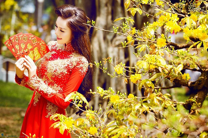 ngay-tet-va-mua-xuan-4-985e4690c0211784591d02714361df80