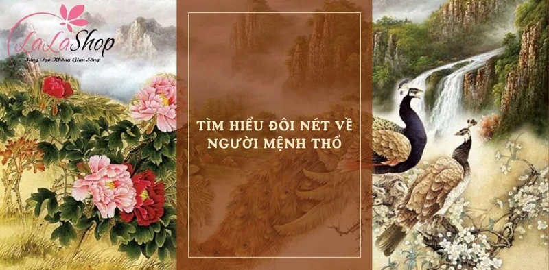 Người mệnh Thổ luôn rõ ràng trong mọi tình huống nên đôi khi trở nên quá cầu toàn