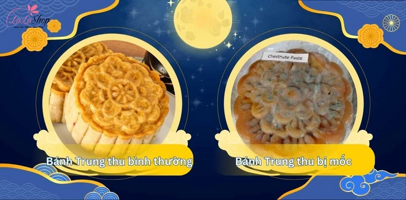 Nguyên nhân khiến bánh Trung thu bị hỏng, mốc đến từ nhiều yếu tố khác nhau