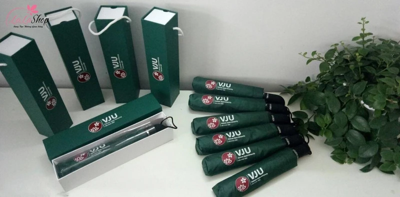 Ô cầm tay luôn được ưu tiên dù thời tiết nắng hay mưa