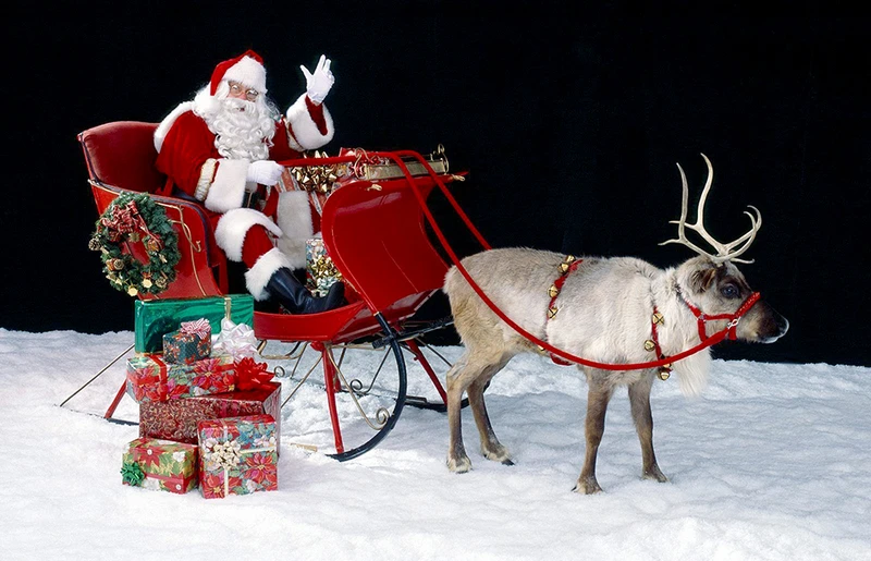 Ông già Noel cưỡi tuần lộc rất quen thuộc nhưng vẫn rất được khách hàng lựa chọn