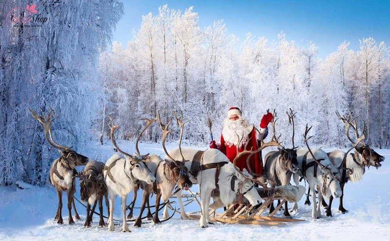 Ông già Noel được cho là cưỡi một chiếc xe trượt tuyết kéo bởi chín con tuần lộc